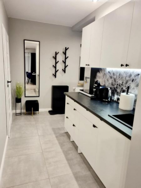 Apartament Chopina III